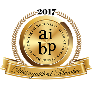 AIBP Distinguished Member 2017